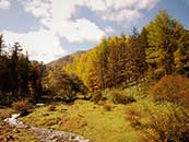 四川七藏沟风景高清图片_四川七藏沟美丽的风景宣传图片