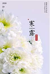 2018寒露节日高清图片配字_寒露白色菊花手机壁纸屏保