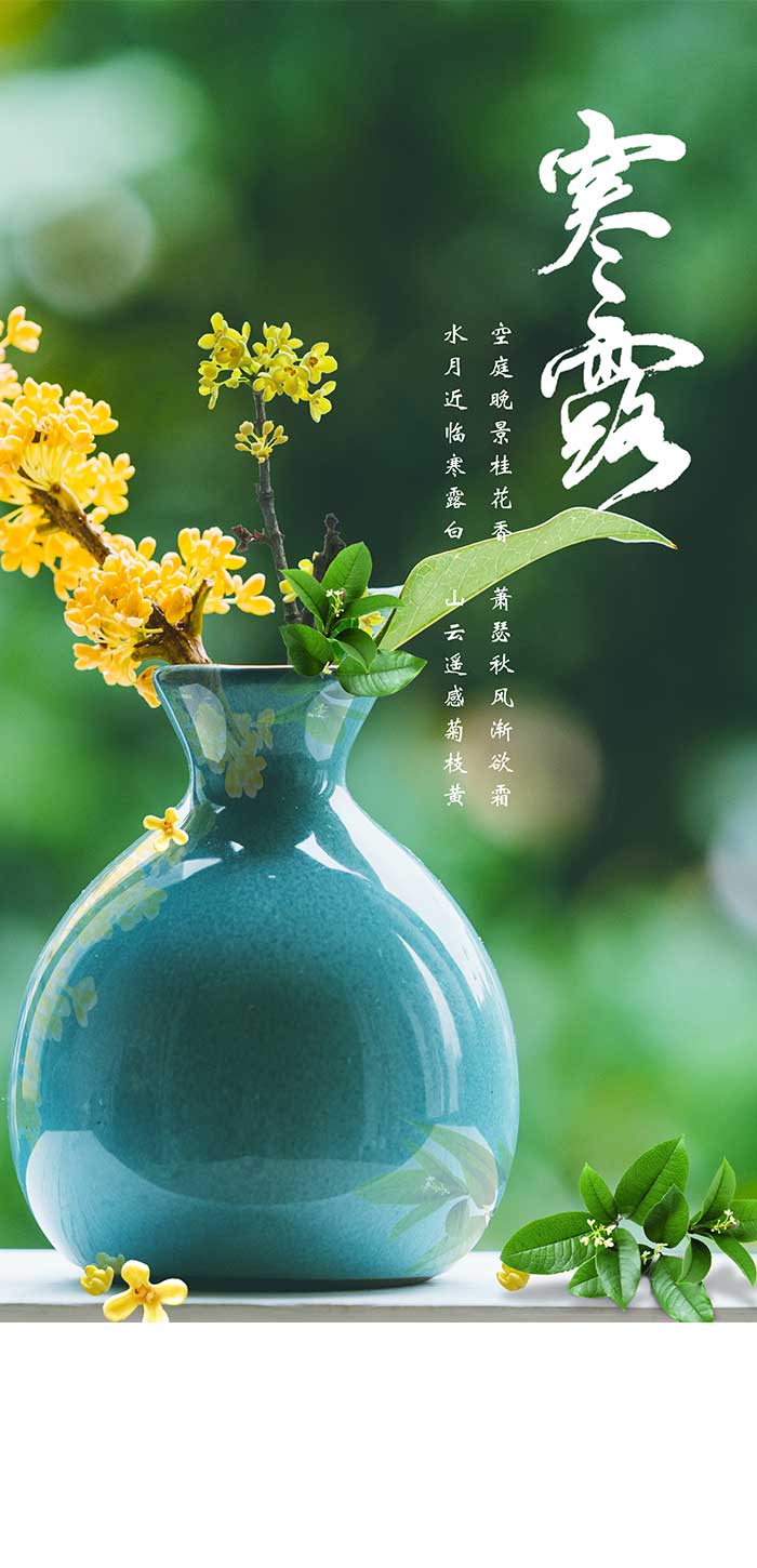 寒露鲜花插花瓶绿色护眼壁纸配文字清新图片