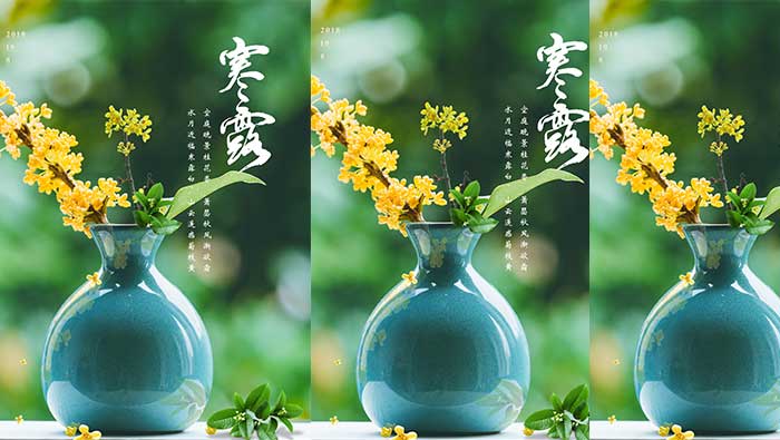 寒露鲜花插花瓶绿色护眼壁纸配文字清新图片