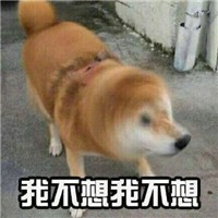 可爱柴犬不要不要微信QQ表情包