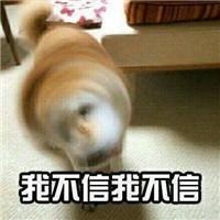 可爱柴犬不要不要微信QQ表情包