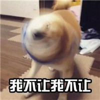 可爱柴犬不要不要微信QQ表情包