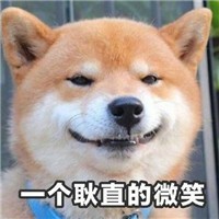 可爱柴犬不要不要微信QQ表情包