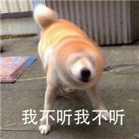 可爱柴犬不要不要微信QQ表情包