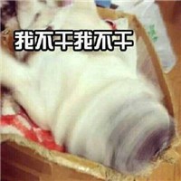 可爱柴犬不要不要微信QQ表情包