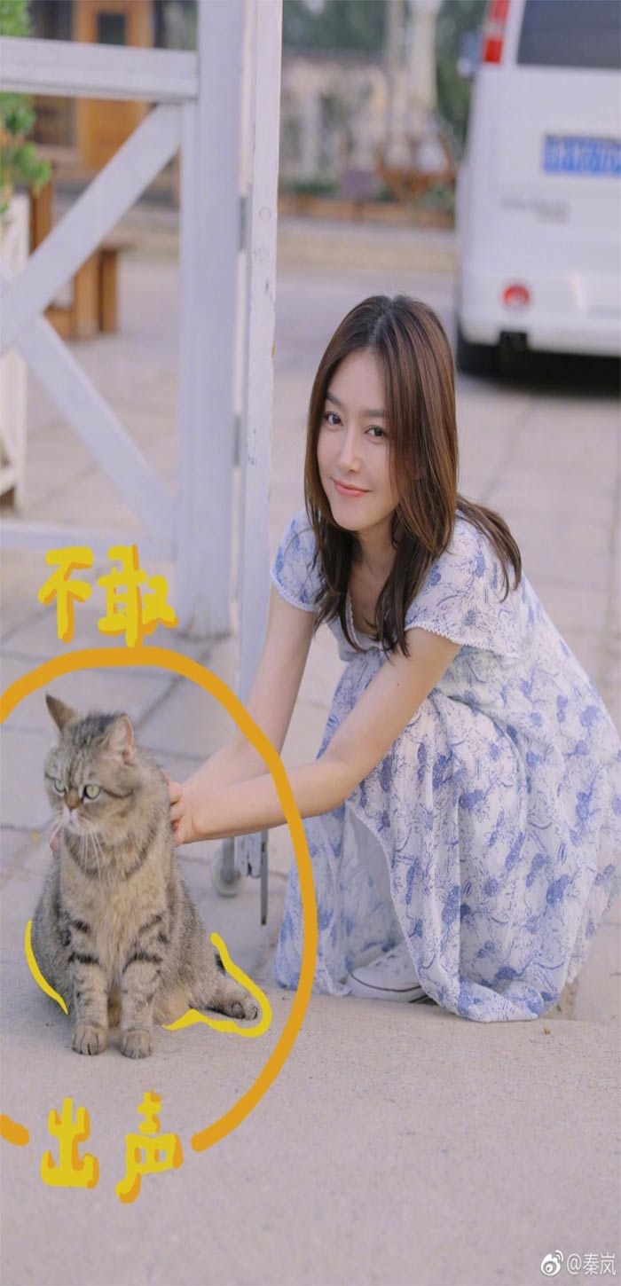 秦岚与猫合影高清唯美手机壁纸图片