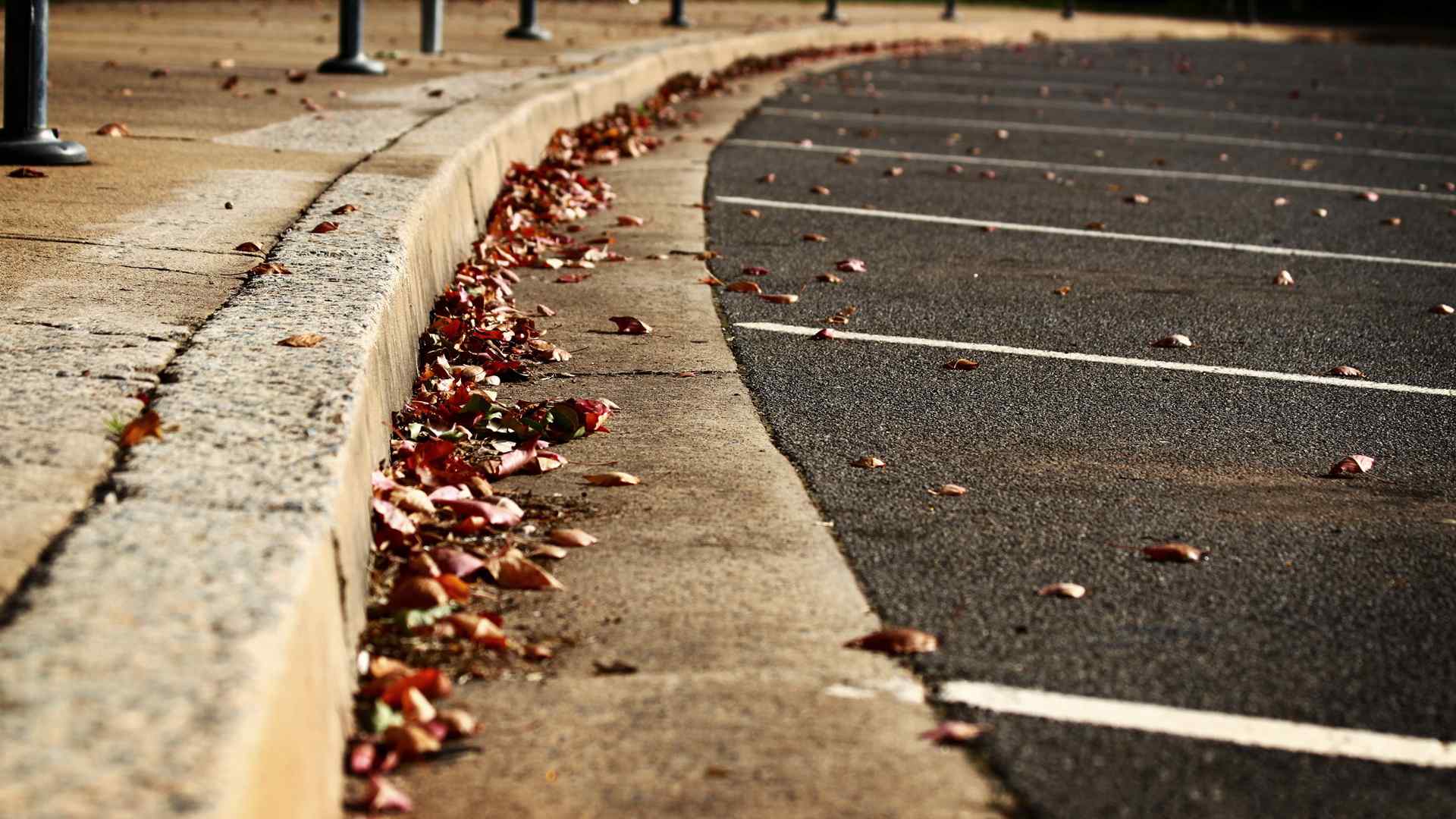 街道落叶秋季风景壁纸