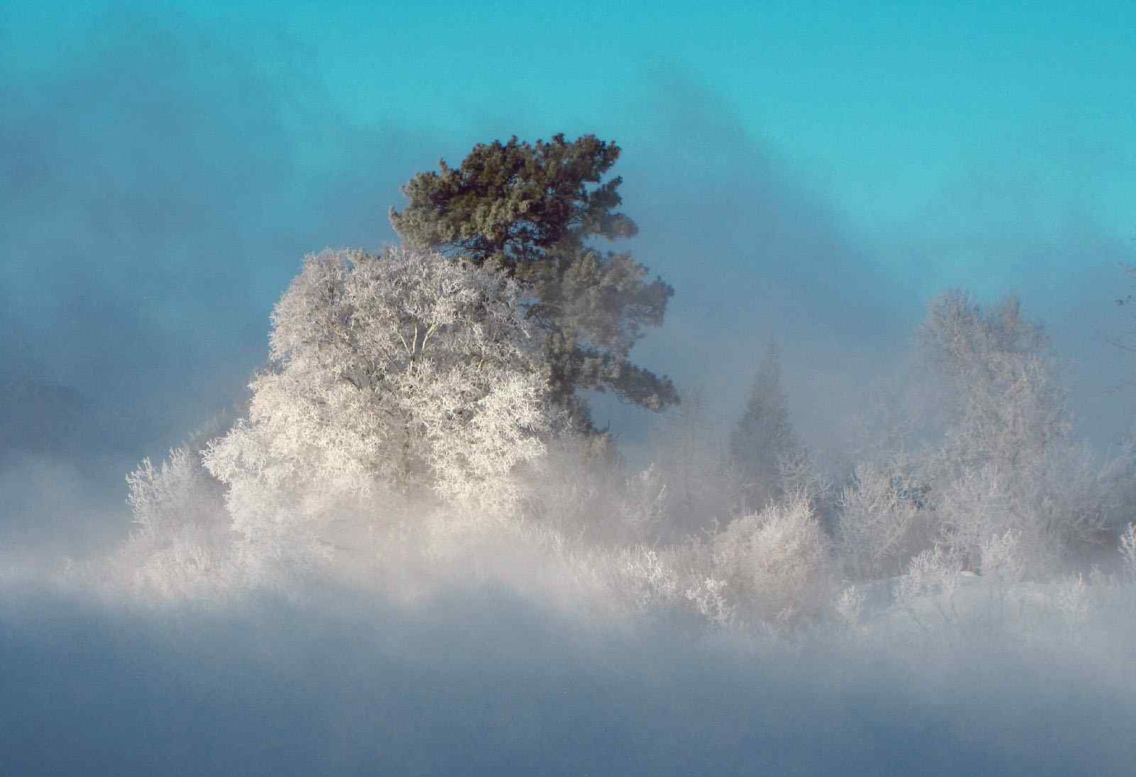 朦胧雪景xp壁纸