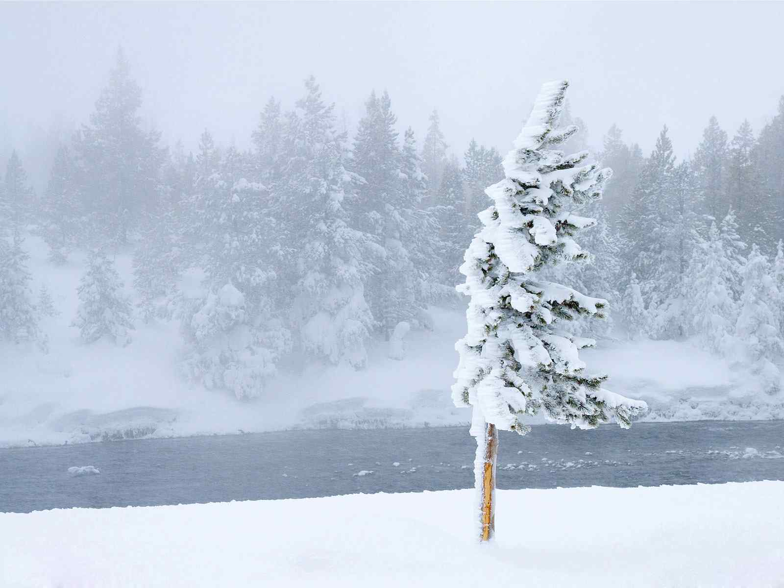 风雪天精美电脑桌面壁纸