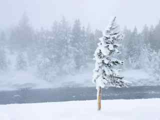 风雪天精美电脑桌