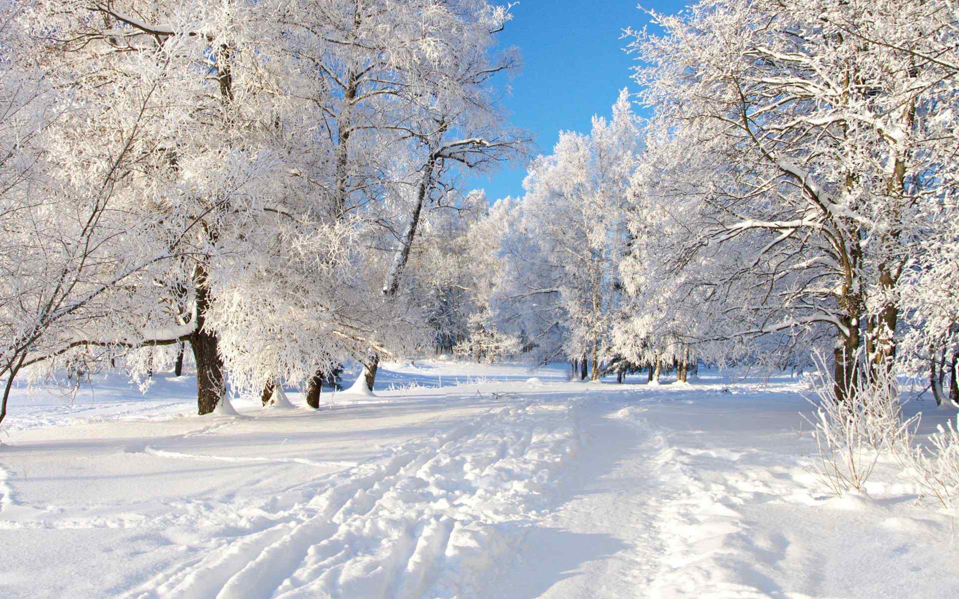 冬日无瑕雪景壁纸