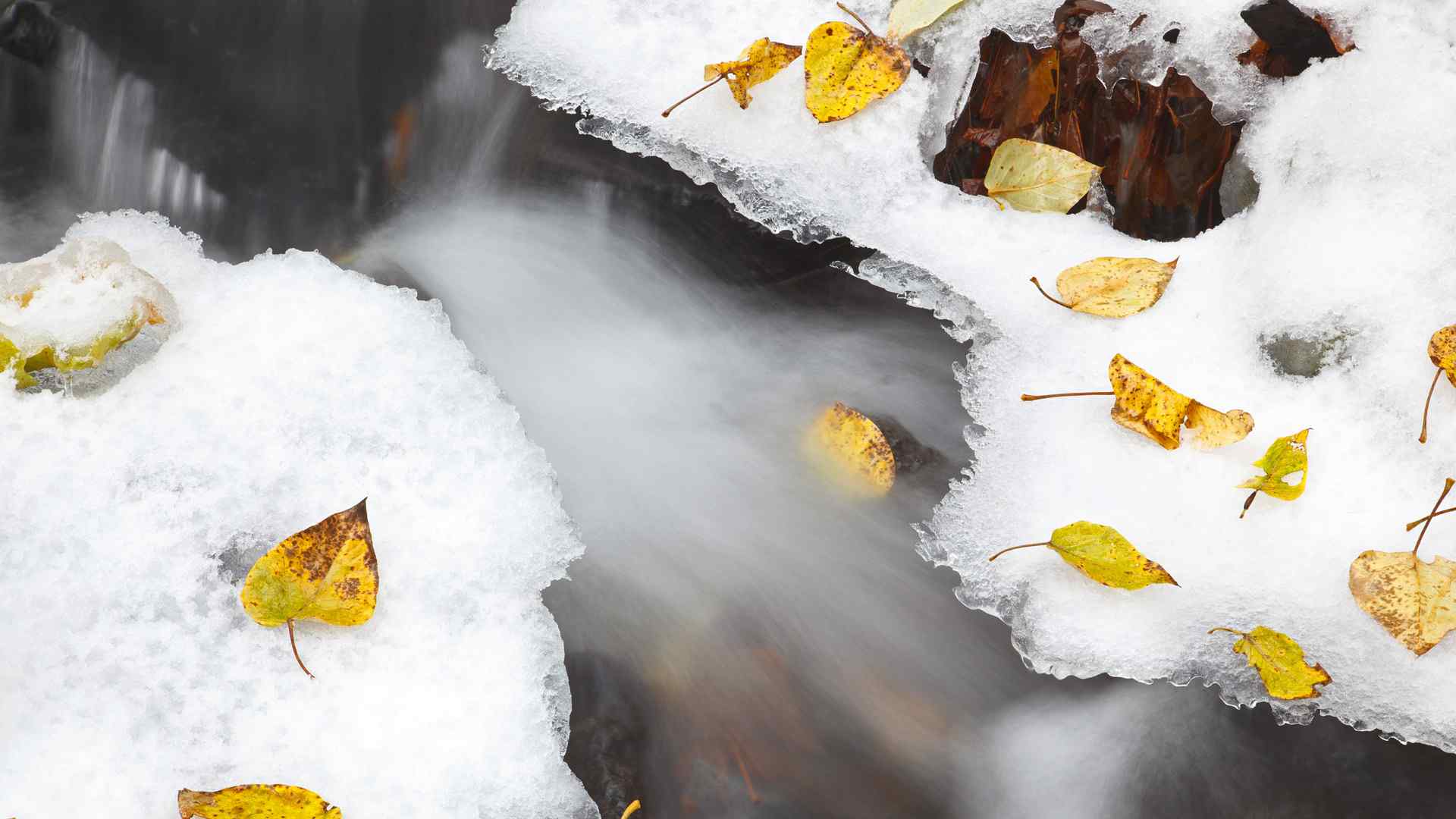 冬季冰封雪景壁纸