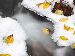 冬季冰封雪景壁纸