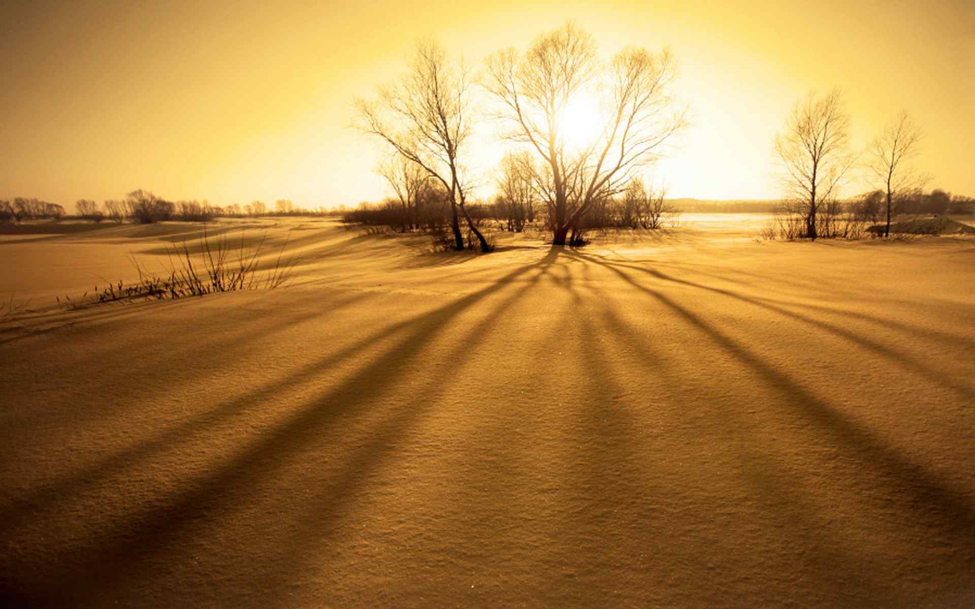 黄昏草原雪景壁纸