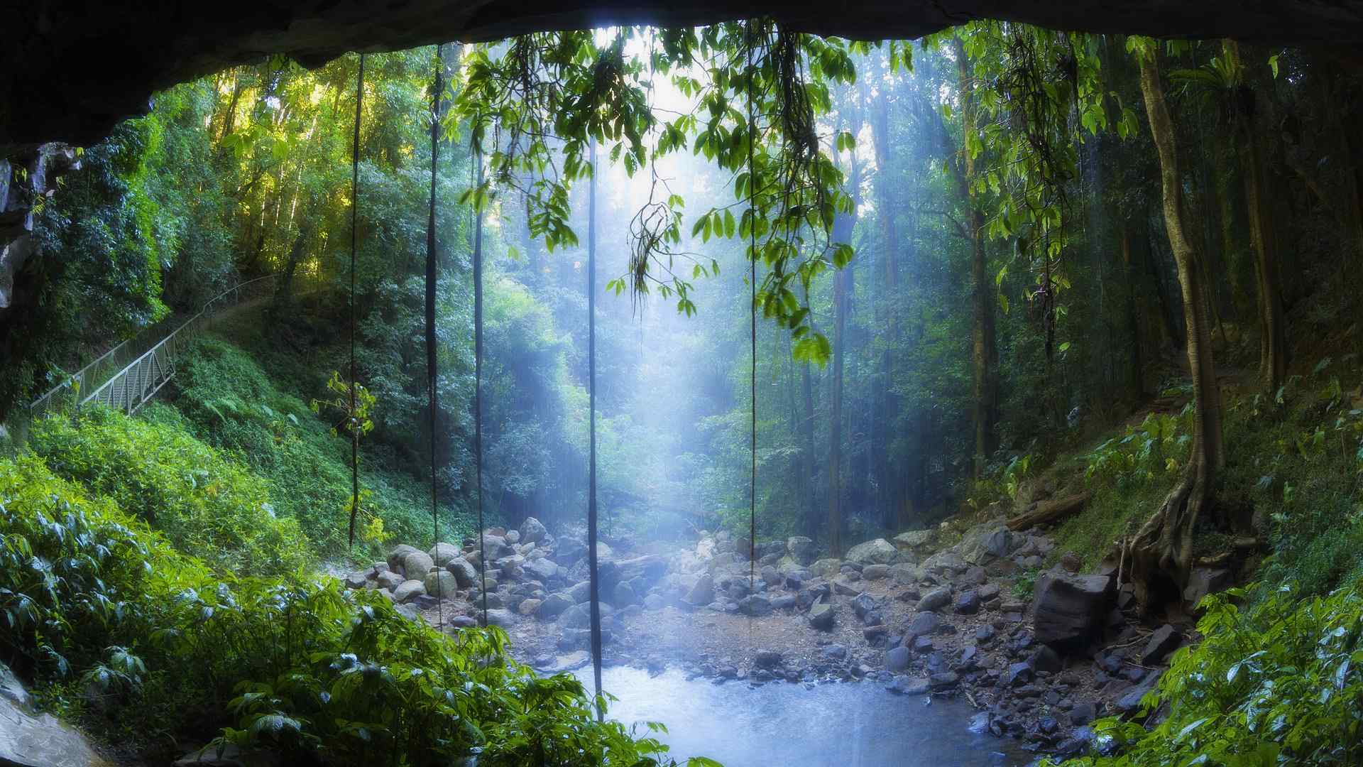 热带雨林丛林冒险桌面壁纸