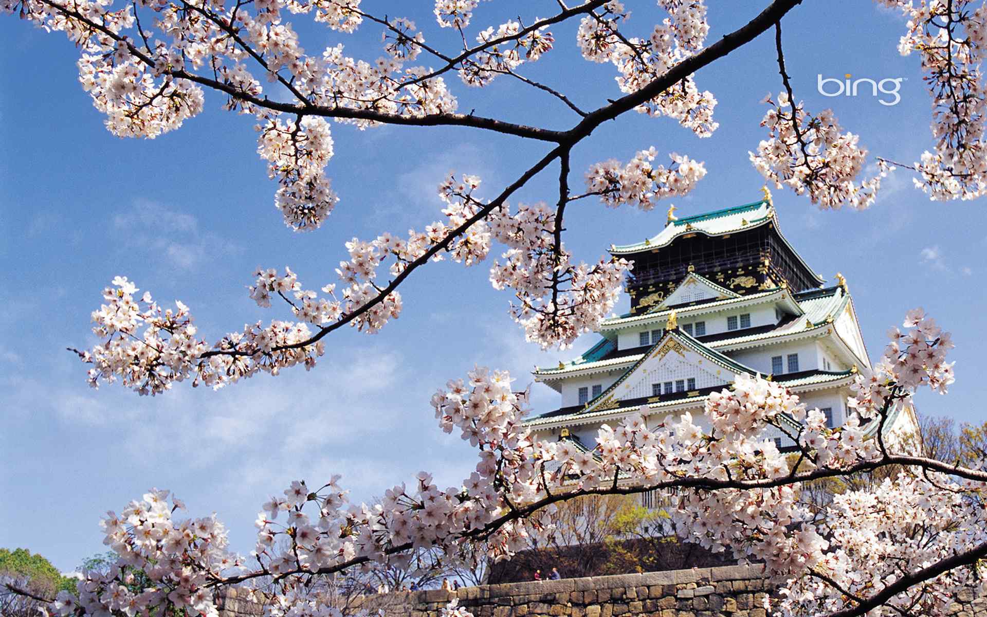 日本在那樱花盛开的地方桌边壁纸