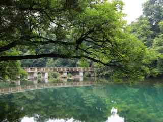 花溪公园静谧湖水桌面壁纸