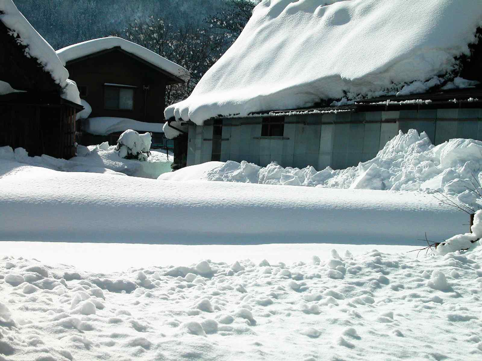 雪景壁纸之白雪皑皑