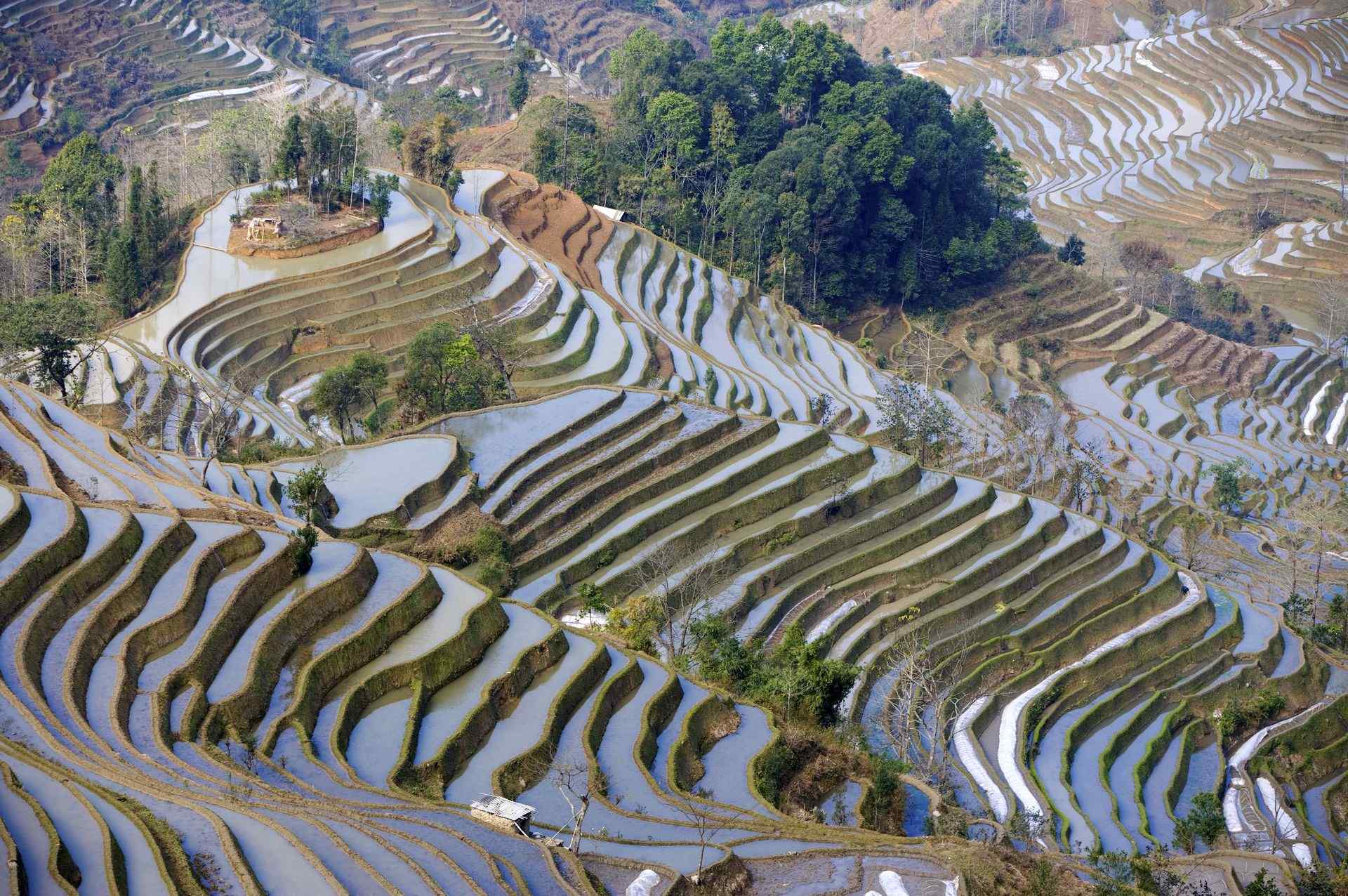 壮观的梯田风景高清电脑桌面壁纸