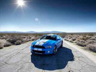 福特汽车壁纸-Ford Shelby GT500 Wallpaper