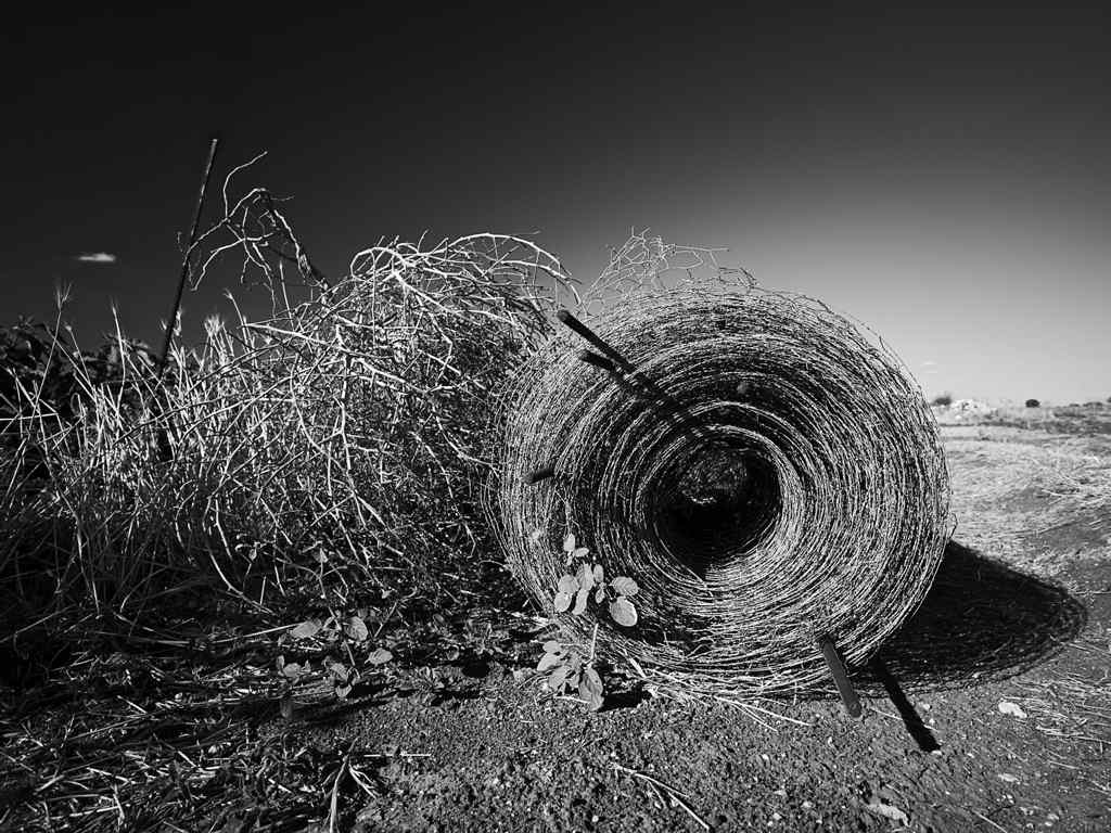 黑白色调壁纸-Field of La Mancha