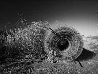 黑白色调壁纸-Field of La Mancha