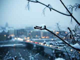 城市雪景桌面壁纸