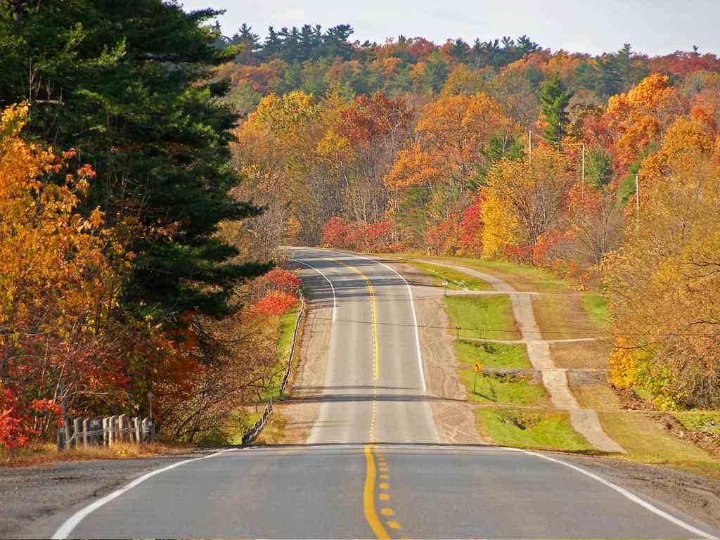 秋季道路风光桌面壁纸