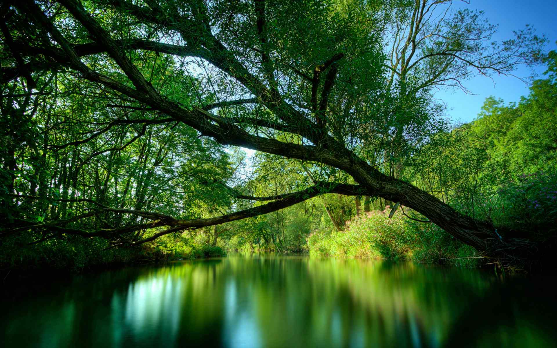 绿色湖畔风景壁纸