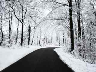 冬季雪景壁纸