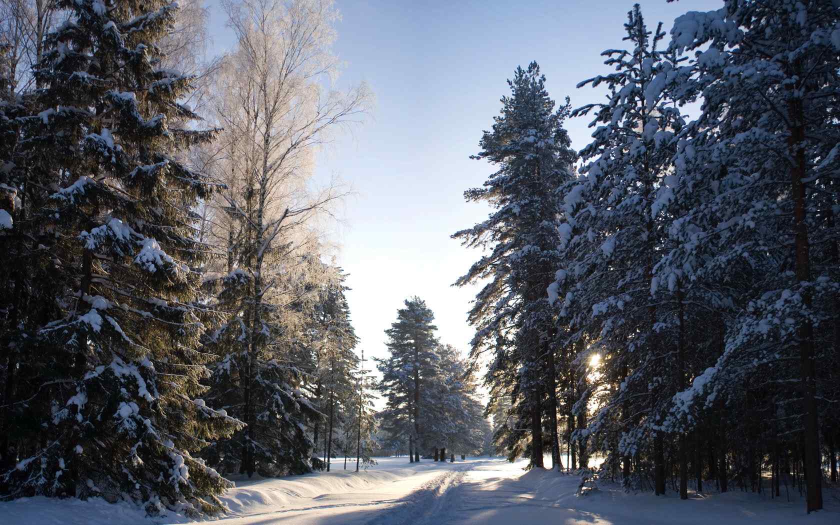 森林雪景壁纸