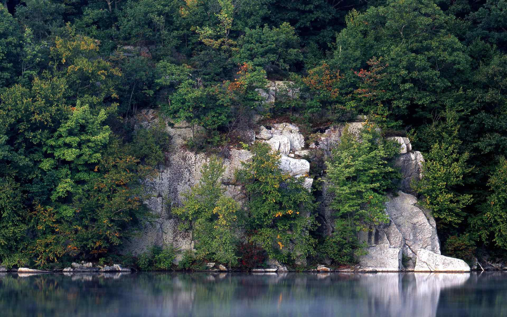 绿色湖畔风景壁纸