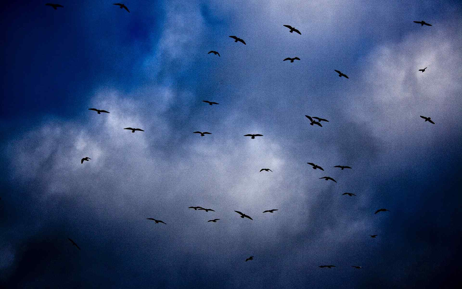 昏暗天空风景壁纸