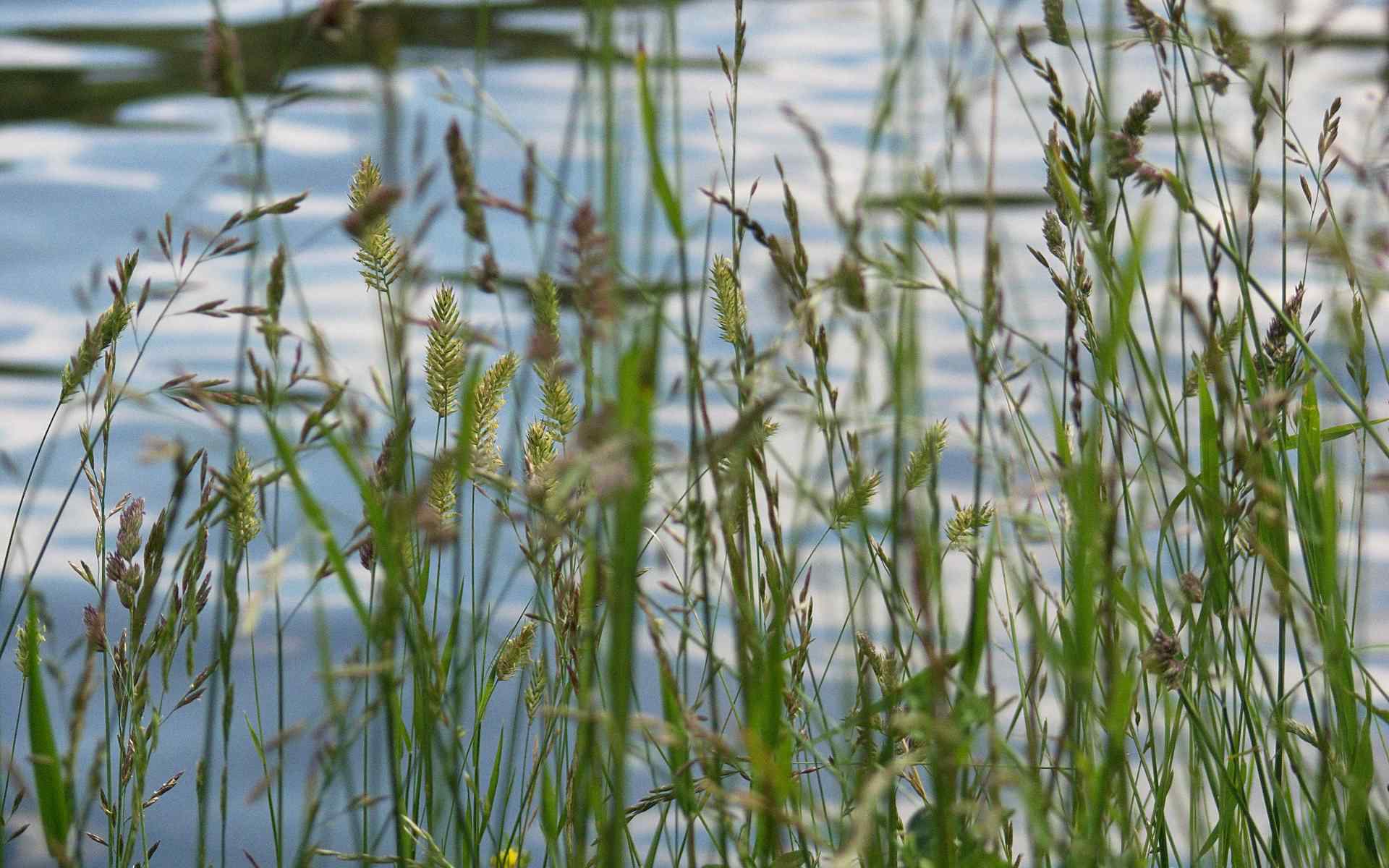 河畔风景壁纸