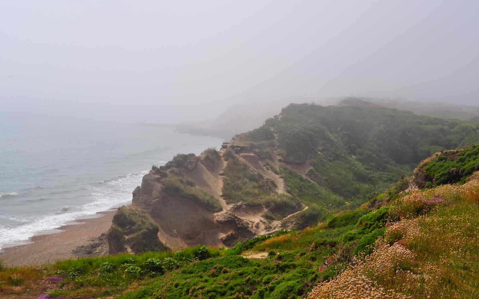 海边青翠风景摄影壁纸