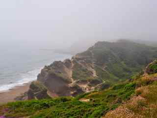 海边青翠风景摄影壁纸