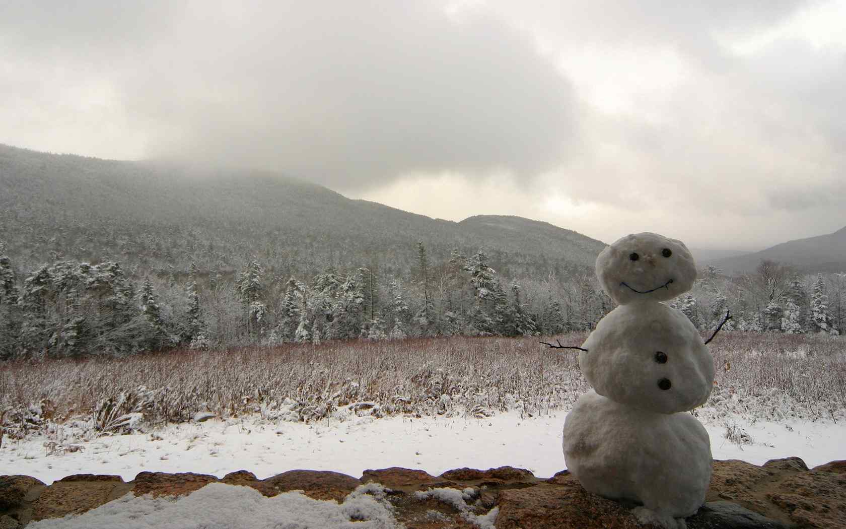 朦胧雪景精美简约壁纸