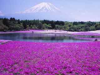 日本风景精美壁纸