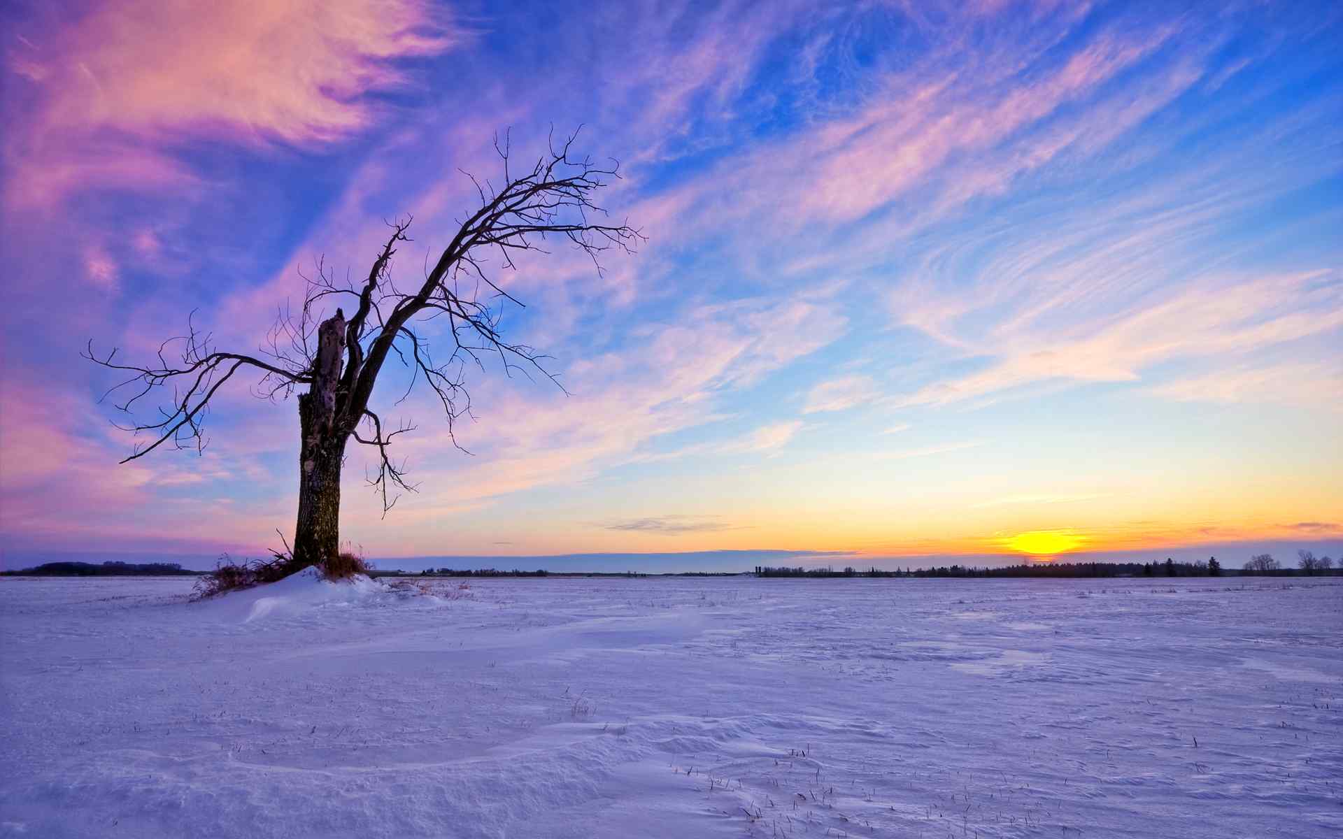 雪地风光摄影壁纸