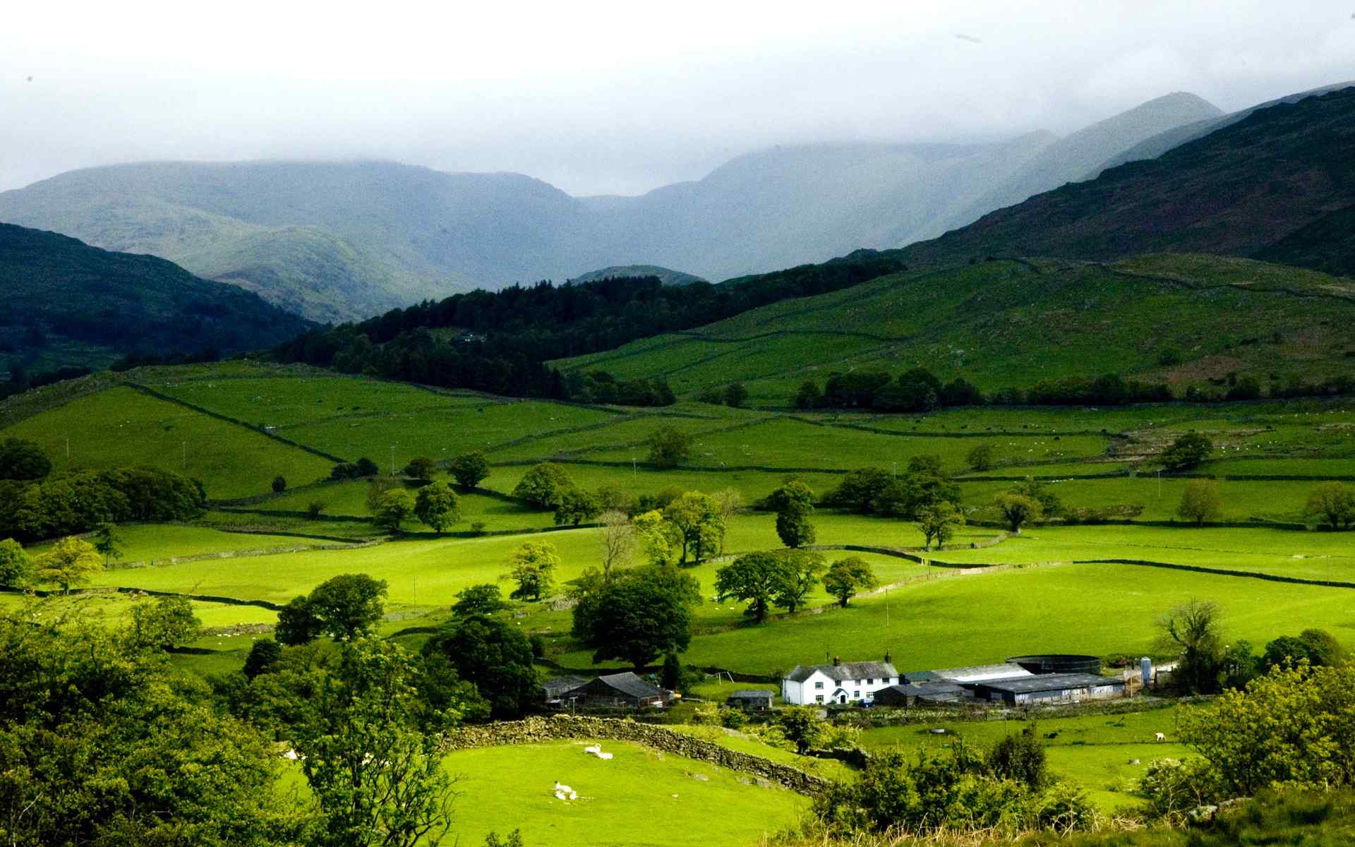 高原草地风景壁纸