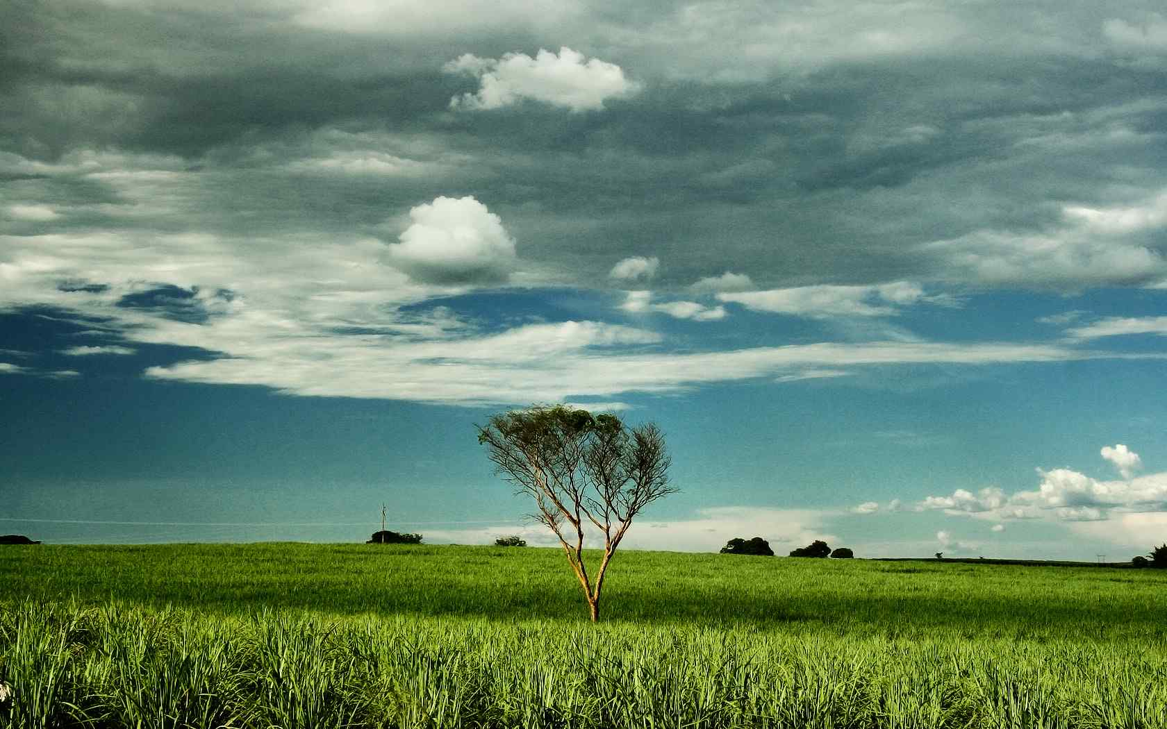 绿色怡人风景壁纸