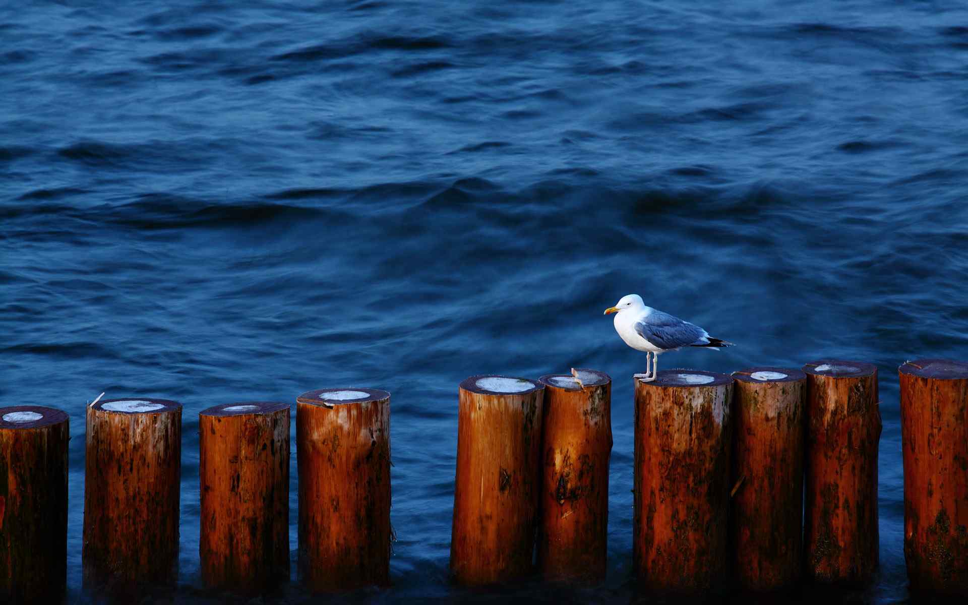 蓝色大海风景壁纸