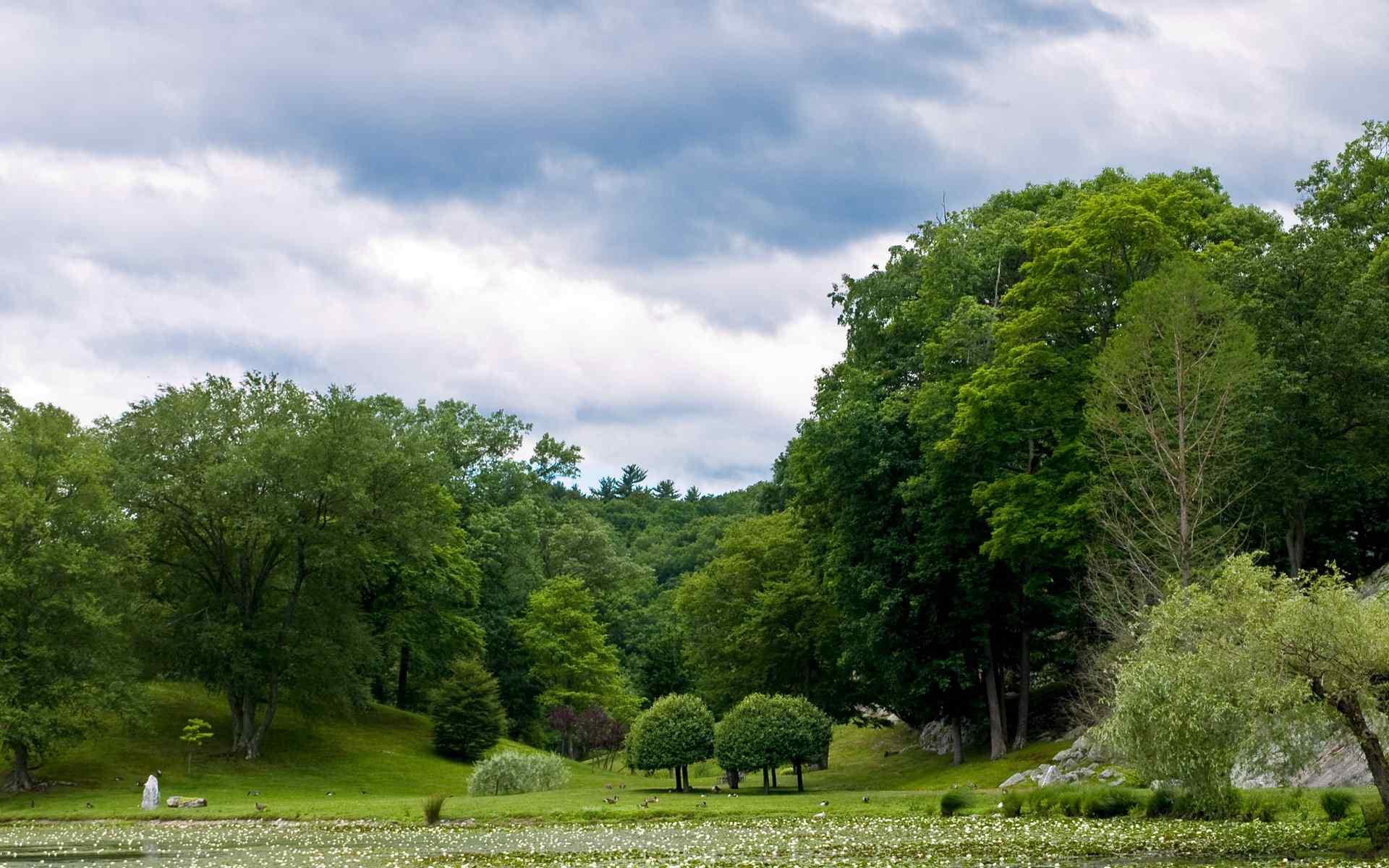 清新自然绿色风景