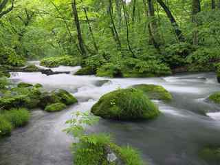 小溪流水风景壁纸