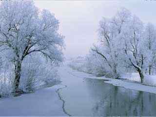 冬季白雪风景壁纸