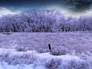 冬季白雪风景壁纸