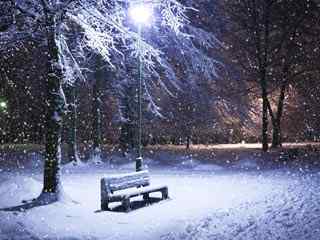 冬季雪景特写壁纸