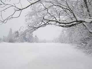 冬季雪景摄影壁纸