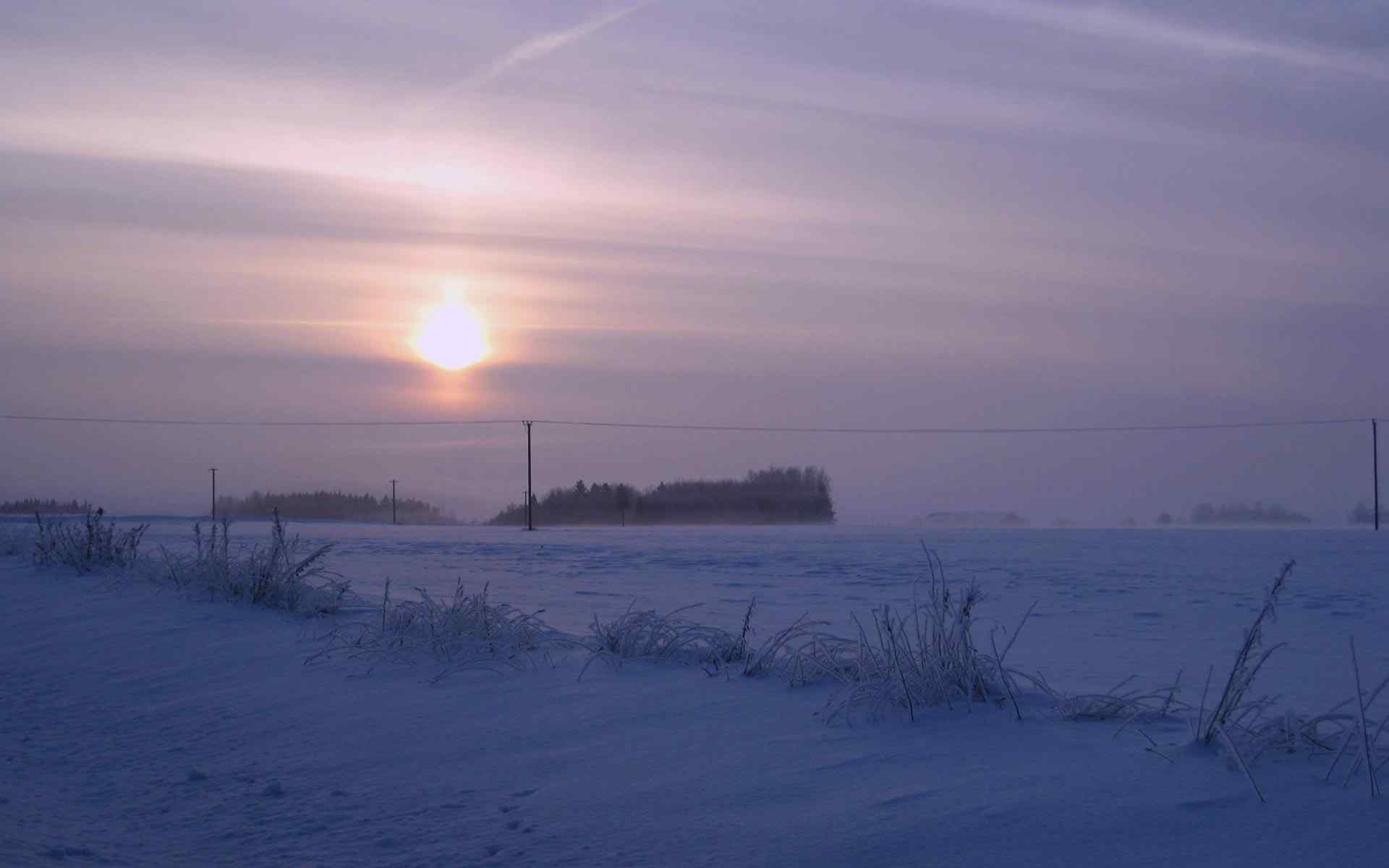 冬季雪景摄影壁纸